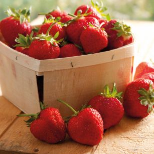 Funcakes Aromapaste - Frischsaure Erdbeeren 120 gr.