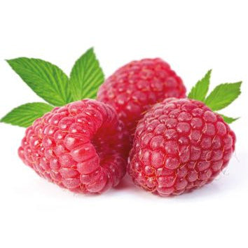 Funcakes Aromapaste - Himbeere 120 gr. MHD 5/25