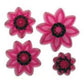 JEM Gänseblümchen Ausstecher Set/4 Stk.